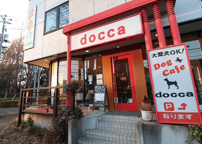 dogcafe docca