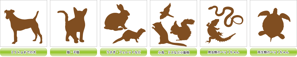 火葬できるペット