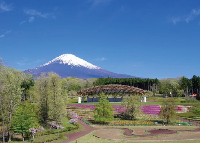富士山樹空の森