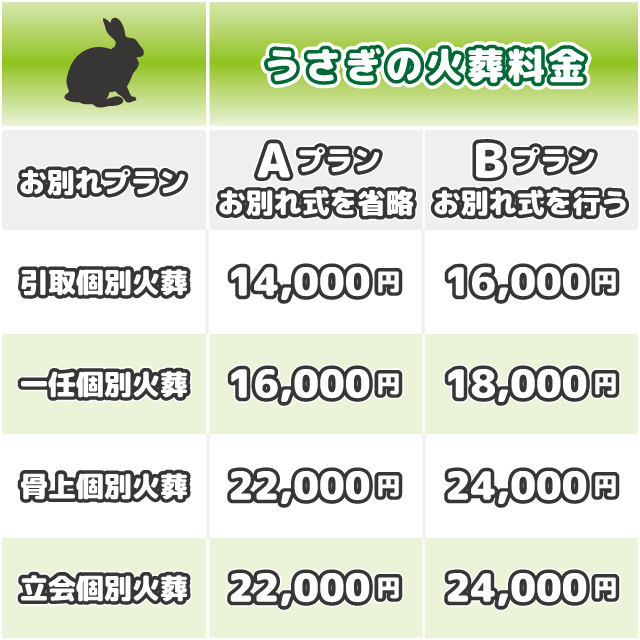 うさぎ