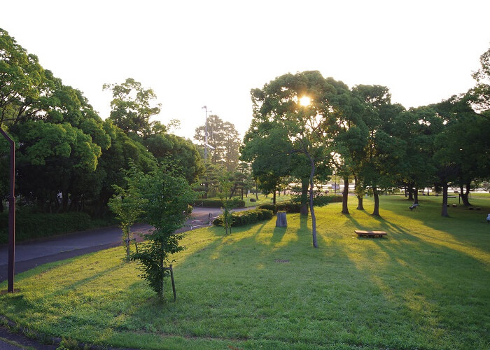 水元公園ドッグラン