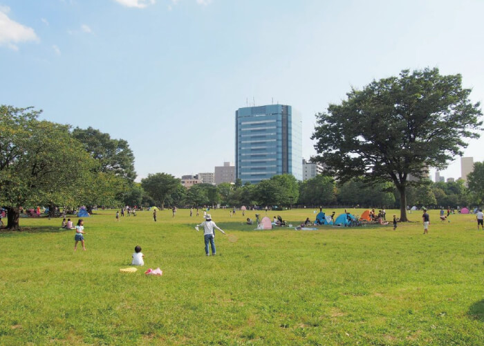 木場公園ふれあい広場ドッグラン