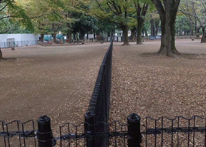代々木公園ドッグラン