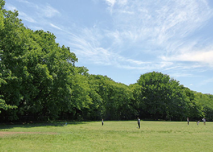 砧公園