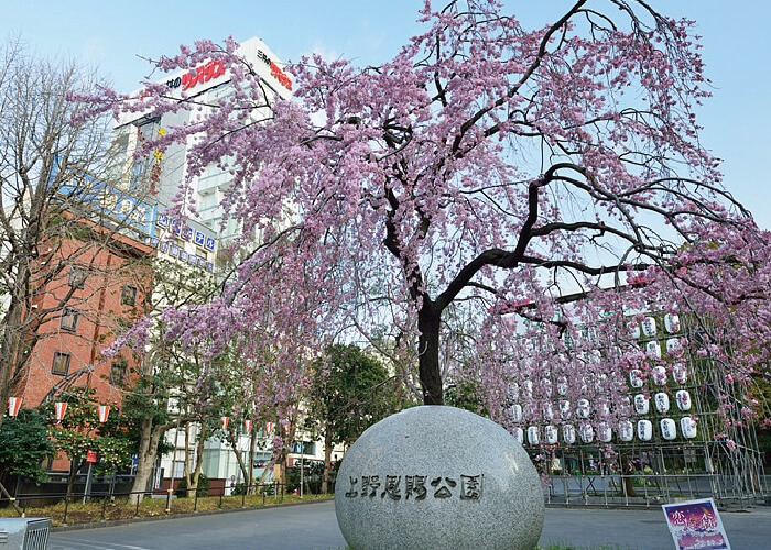 上野恩賜公園