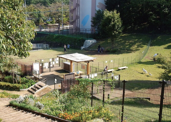 桜が丘公園ドッグランのイメージ