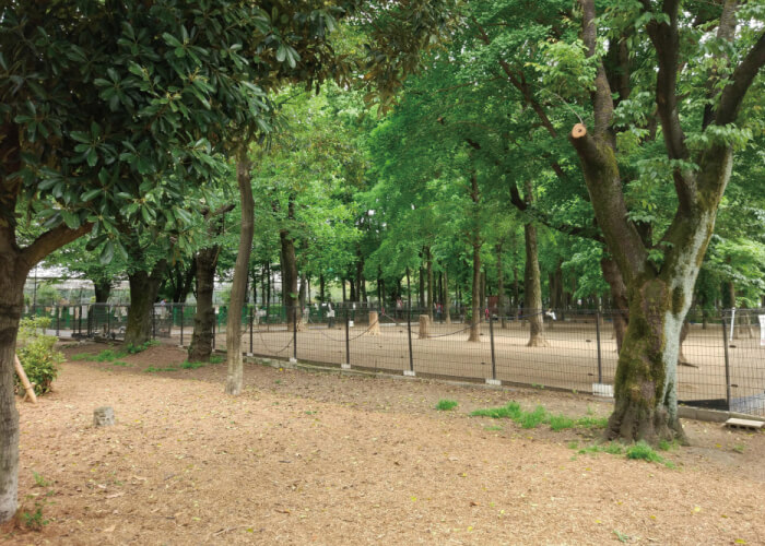 城北中央公園ドッグラン