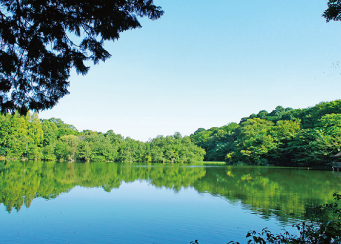 石神井公園