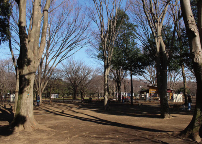 都立小金井公園ドッグラン
