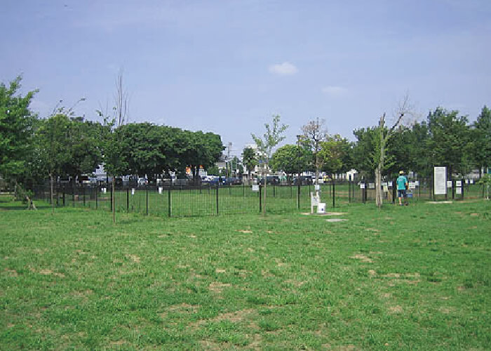 篠崎公園ドッグラン