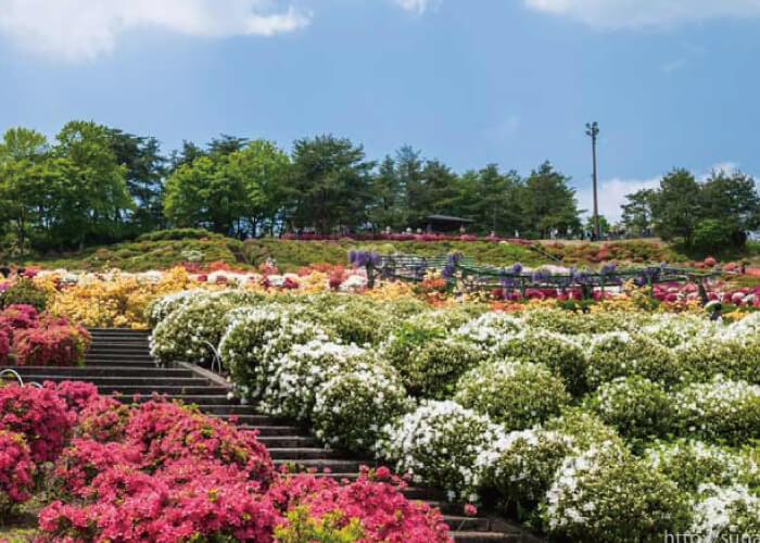 寒河江公園