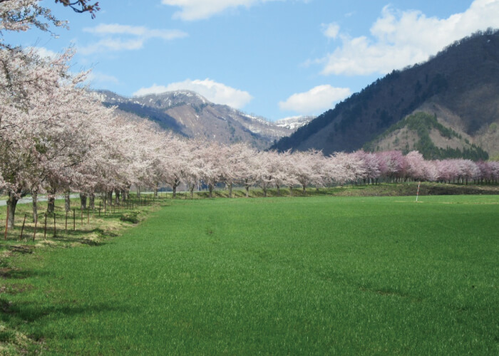 わくわくファーム前森高原